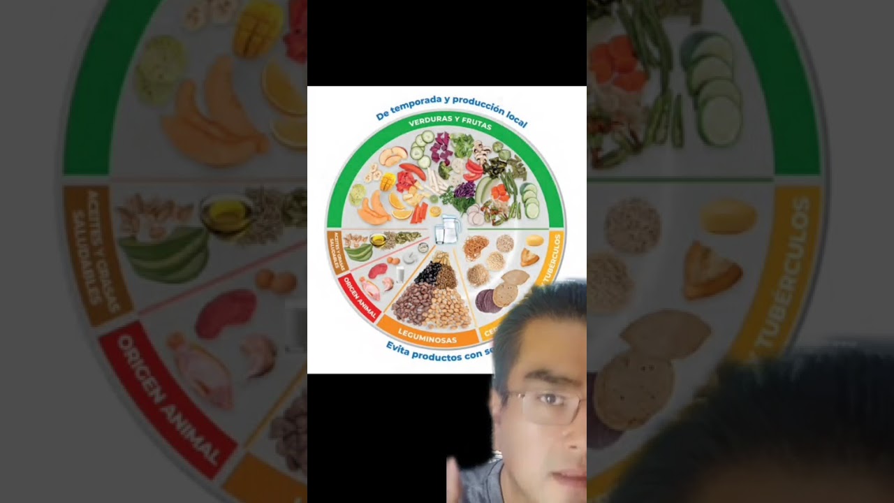 Guías alimentarias y recomendaciones dietéticas.