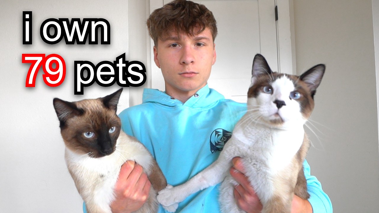 Reviewing My 79 Animals