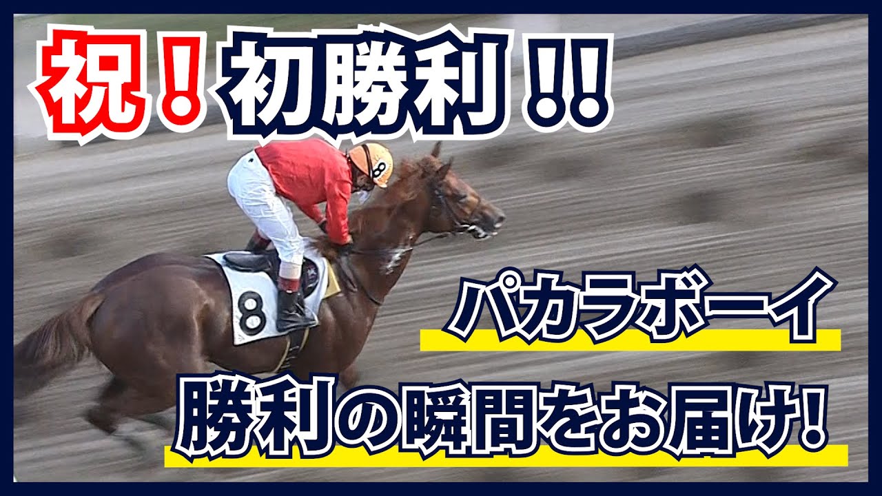 【編集長馬主になる！】#36 パカラボーイ勝利の瞬間をお届け！！【祝！初勝利！！】