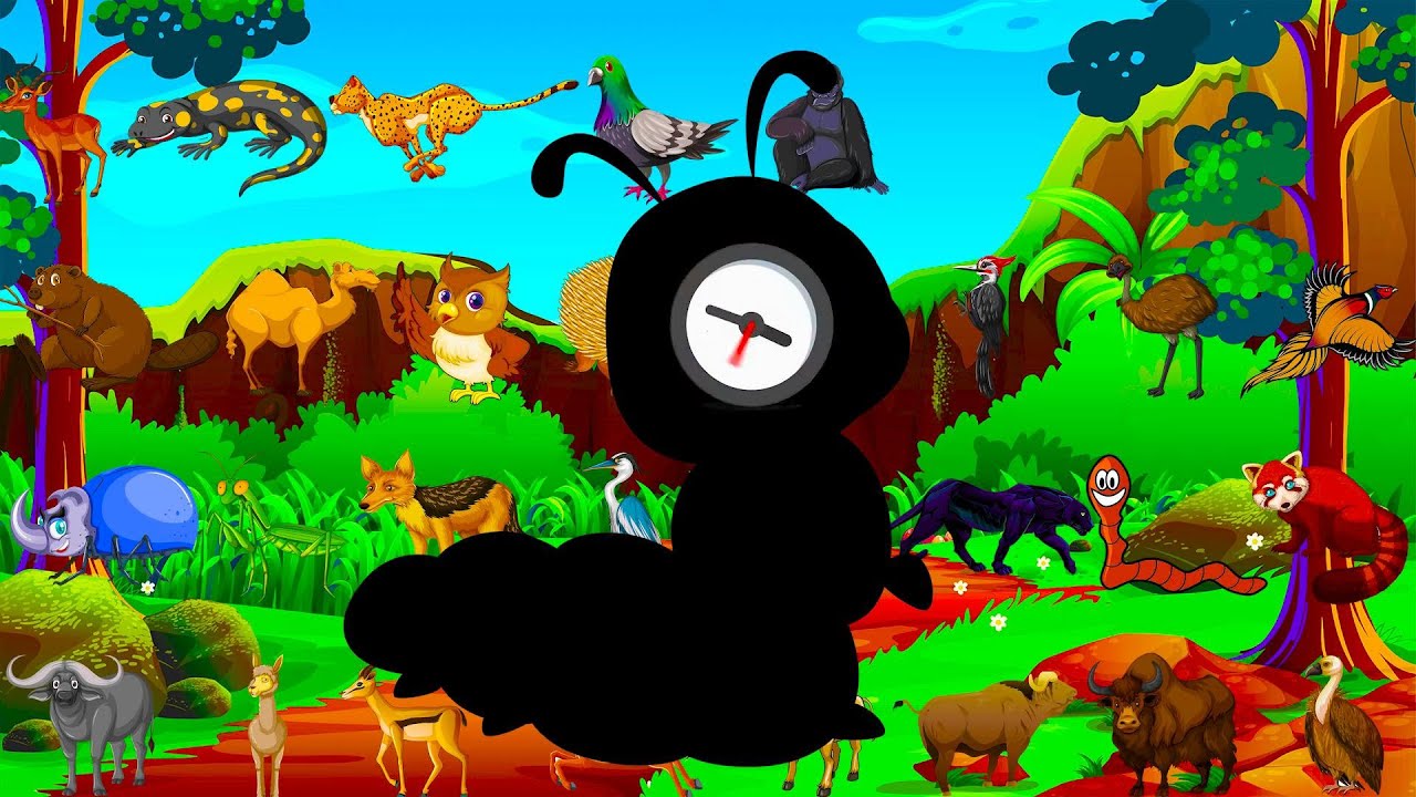 POGODI ZIVOTINJU! 🐆 Životinje, edukativni crtani za djecu | Pepi TV