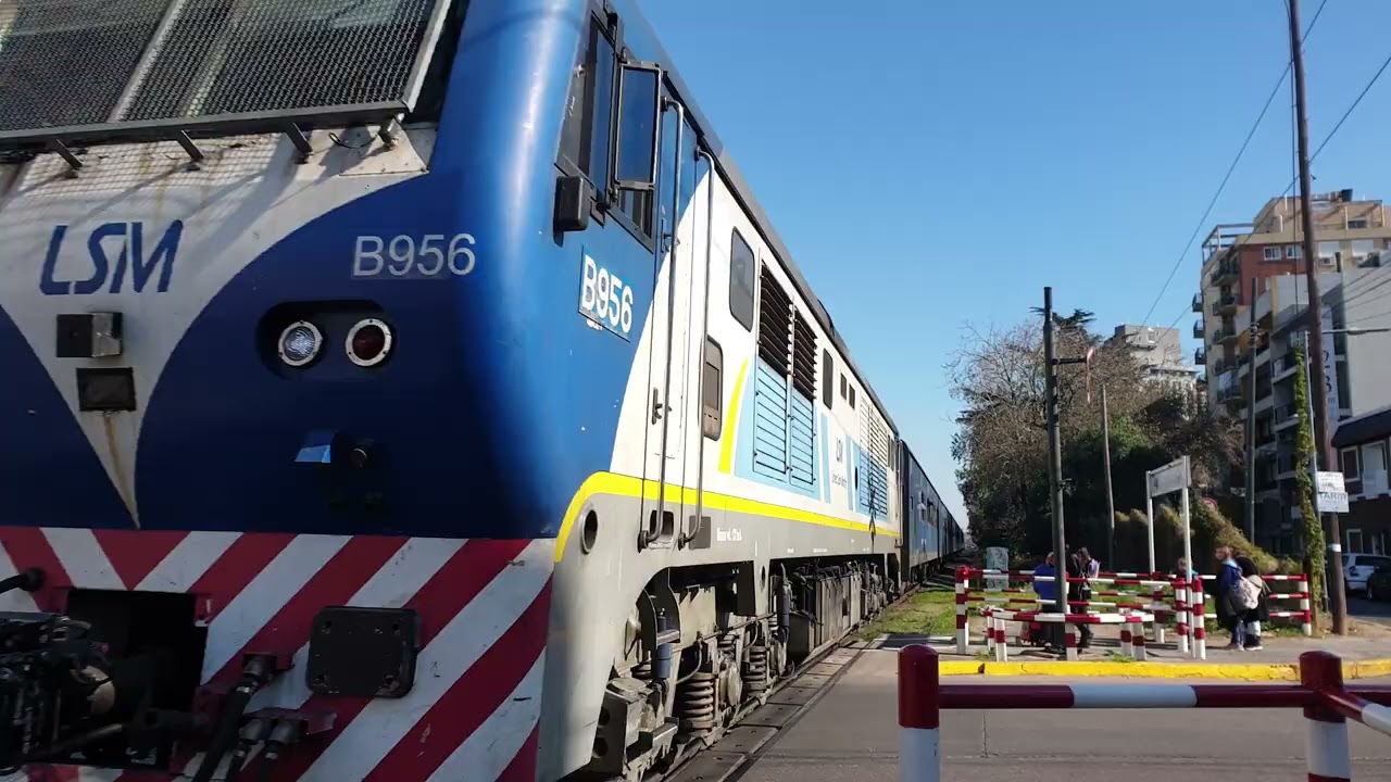 SDD7 B956 Servicio local - Villa del parque - LSM