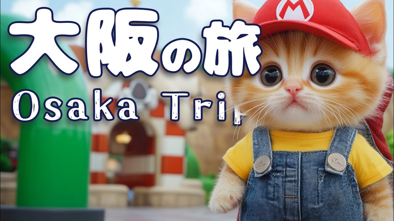 【子猫の旅】子猫が大阪で出会った景色と味