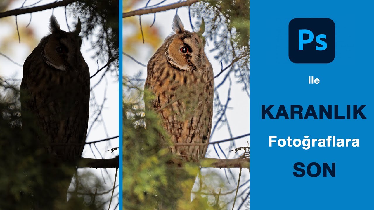 Karanlık Fotoğraflarınızı Kurtarın. Photoshop'ta Yanlış Pozlanmış Fotoğrafları Düzenlemek