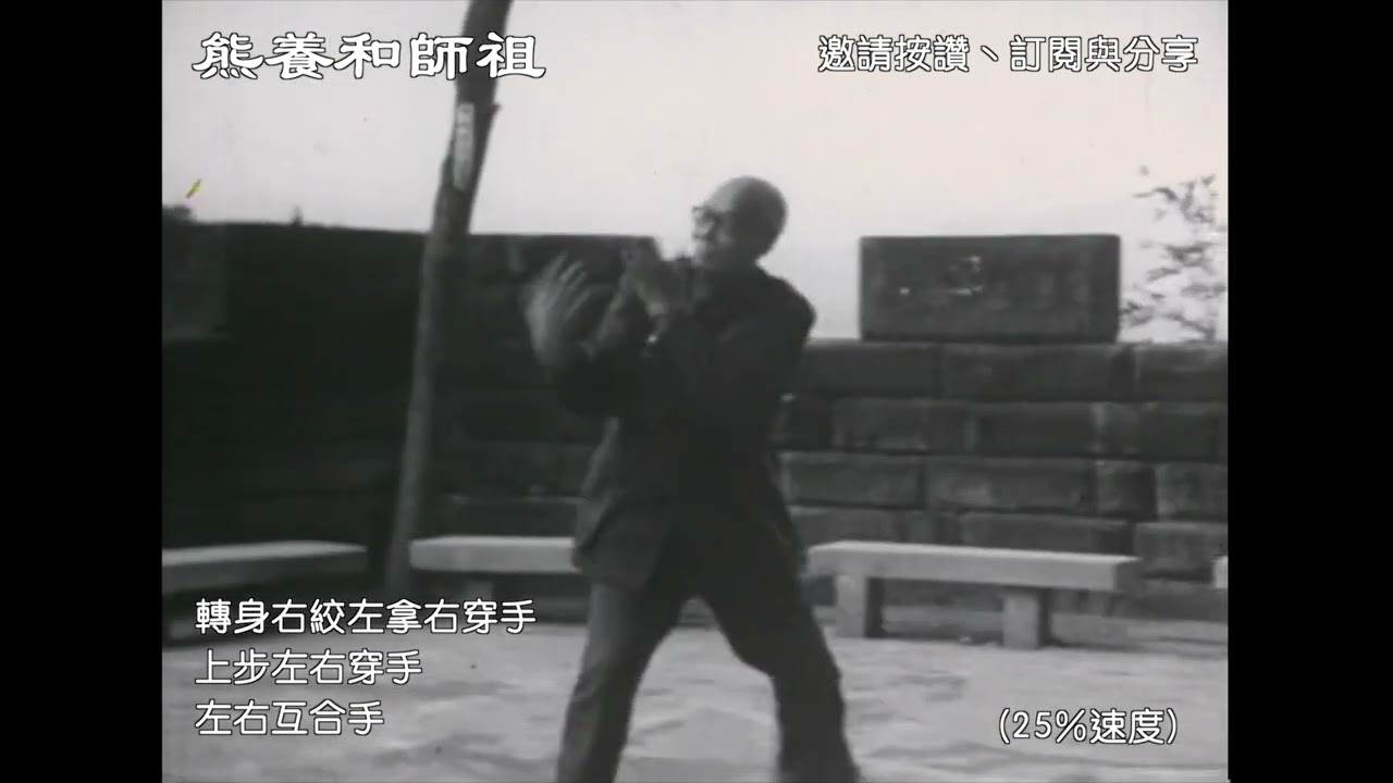 新竹《熊氏太極宇涵堂》 熊養和老師 曦陽掌手法 TaiChi Master Xiong Yang He