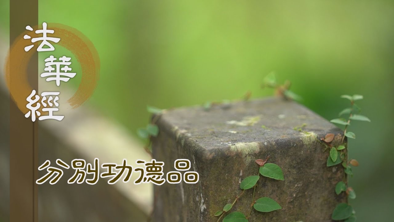 【靜思妙蓮華】法華經分別功德品 - 為一切智 發大精進 - 20231219 第1570集