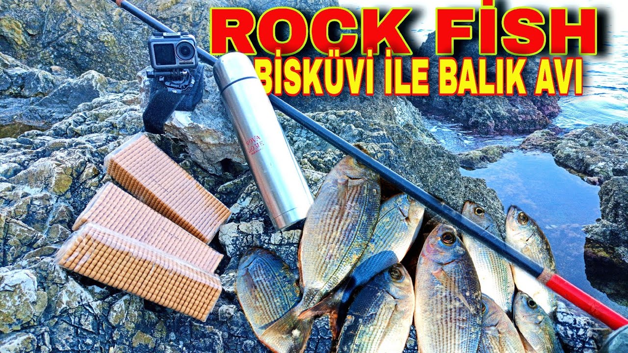 Bu Sistem ile Herkes Melanur Balık Avı Yapabilecek/Antalya Melanur Balık Avı_Fishing Oblada Melanura