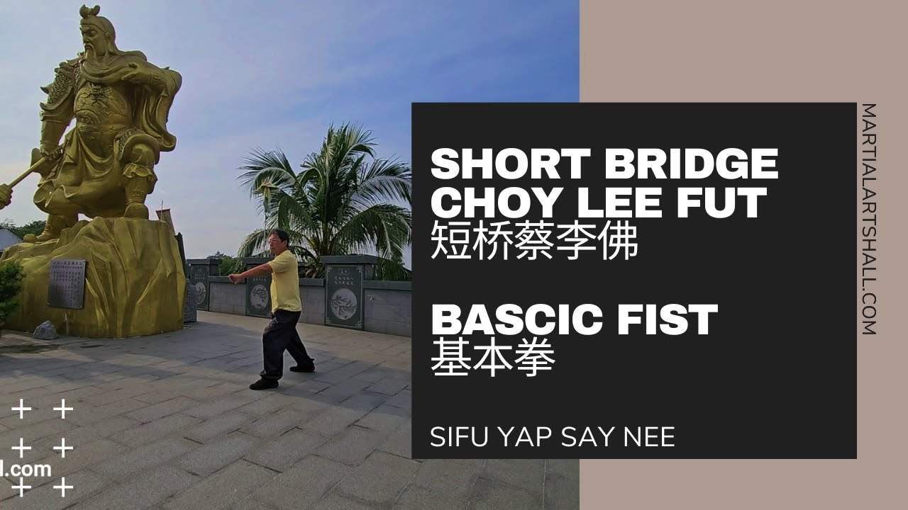 Short Bridge Choy Lee Fut: Basic Fist (短桥蔡李佛: 基本拳)