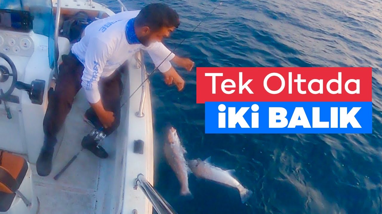 CANLI KARİDESLE ŞAŞIRTICI BALIK AVI BALIK YAKALAMA TEKNİKLERİ BÖLÜM 2