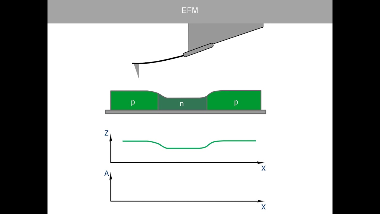 EFM. AFM Theory from NT-MDT.