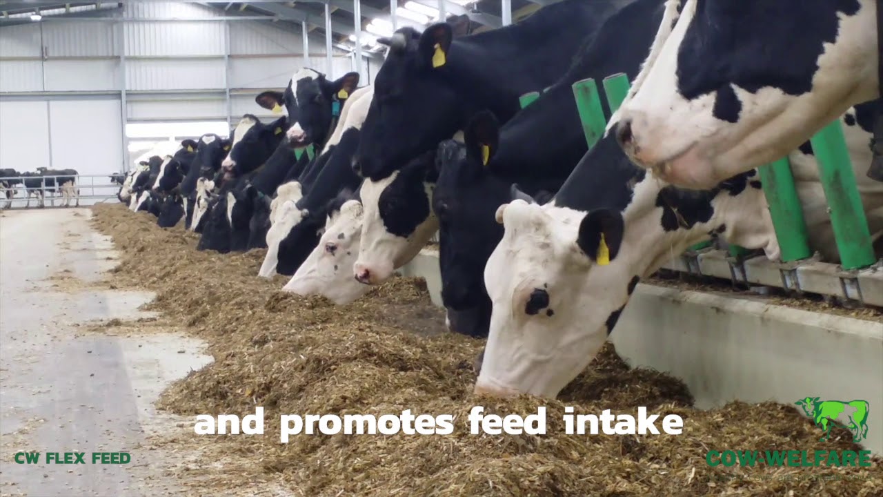 Get to know: Cow-Welfare Flex Feed