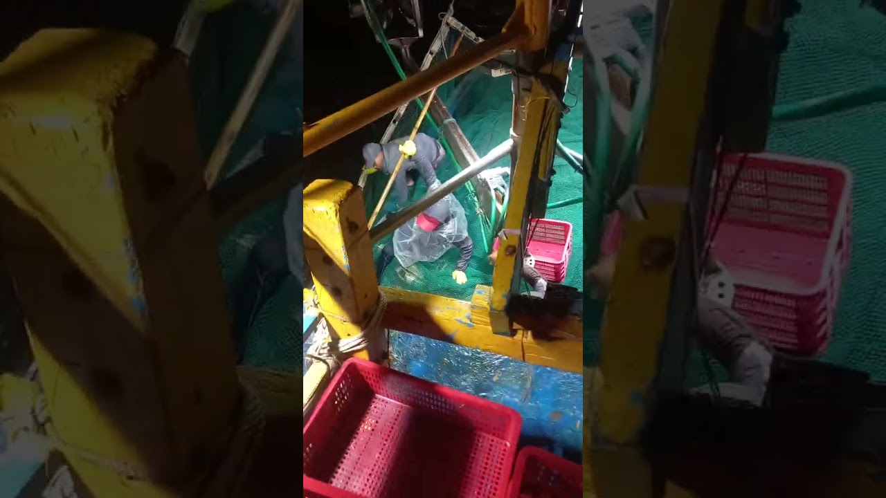 Khai thác cá gần Mũi Kê Gà vào ban đêm !