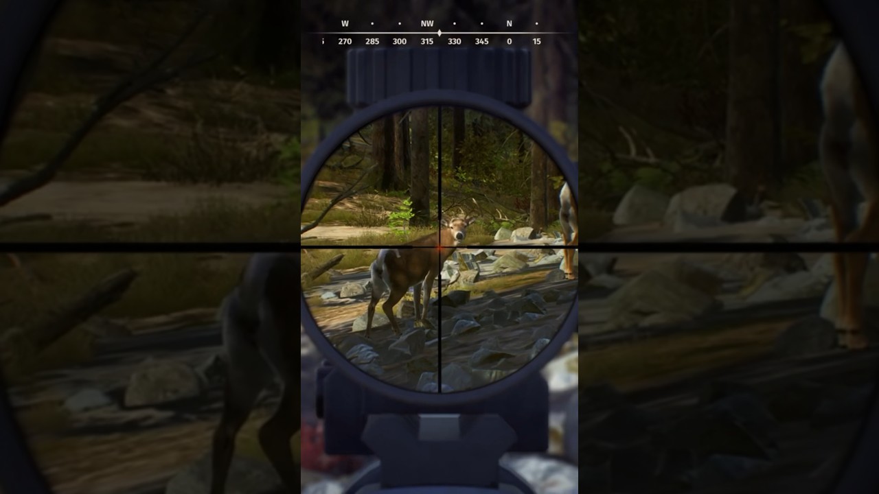 Deer hunting in Way of the Hunter. 