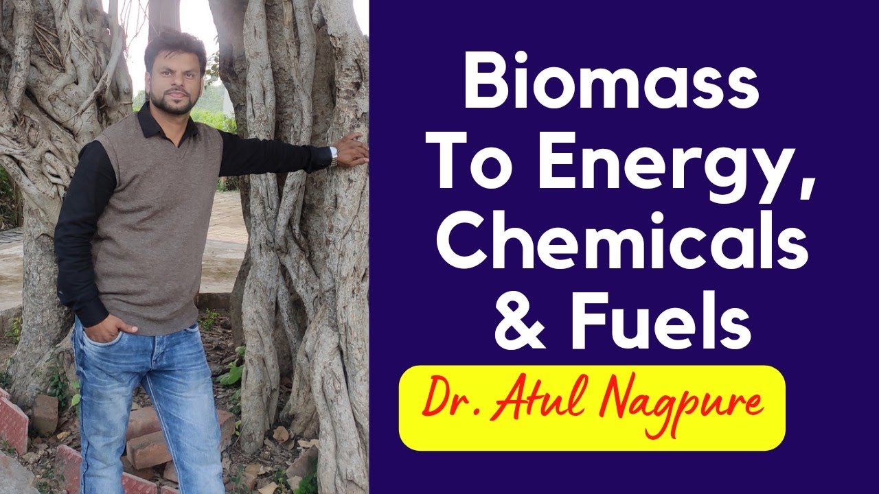 Biomass as Renewable Resource for Energy, Chemicals and Fuels