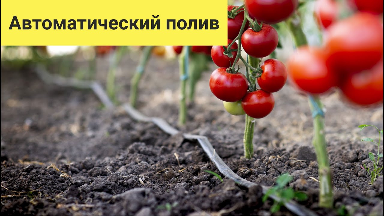 Умная Теплица 2agrocloud | Подключение автоматического полива