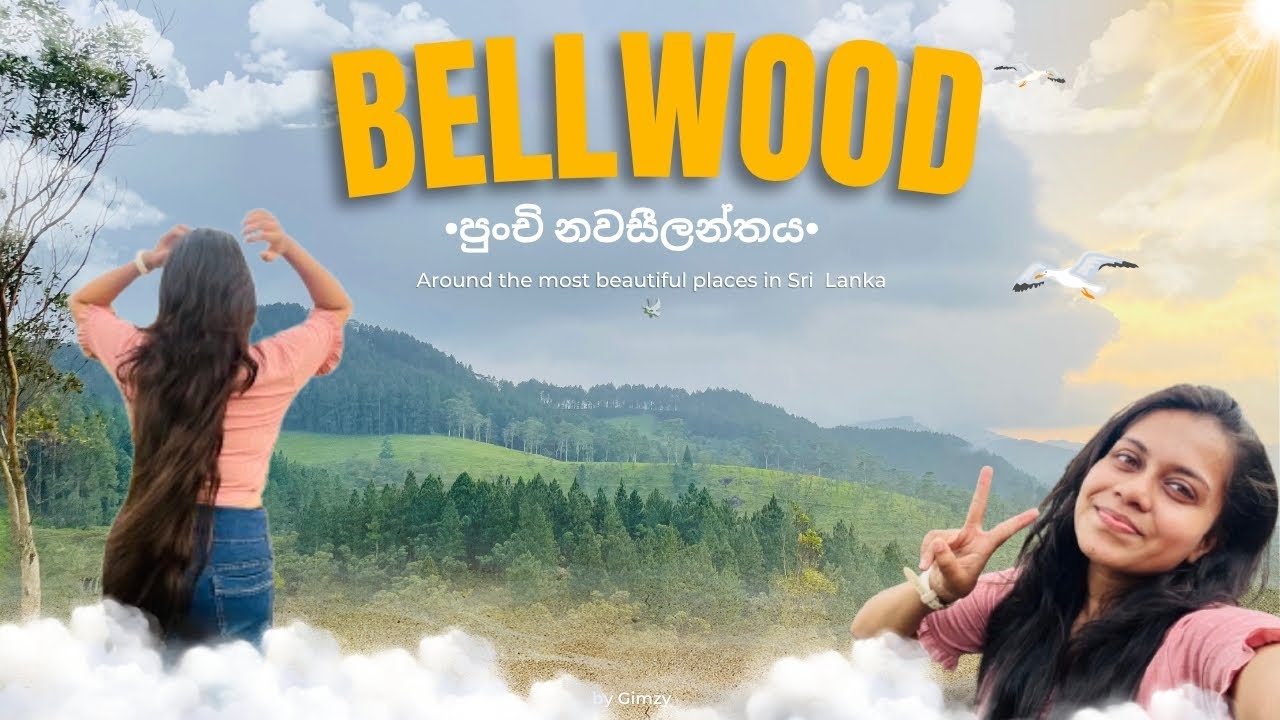Bellwood| Kandy පුංචි නවසීලන්තයට🌱💫 |පාර වරදින්නේ නැතුව හරියටම යන්🥰|යන්නම ඕන තැනක්🕊️🌷#bellwood 