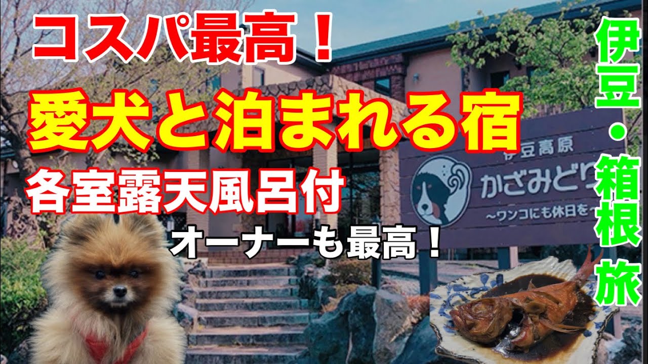 【 旅 】 わんこたちと一泊伊豆・箱根の旅  泊まって良かった『かざみどり』