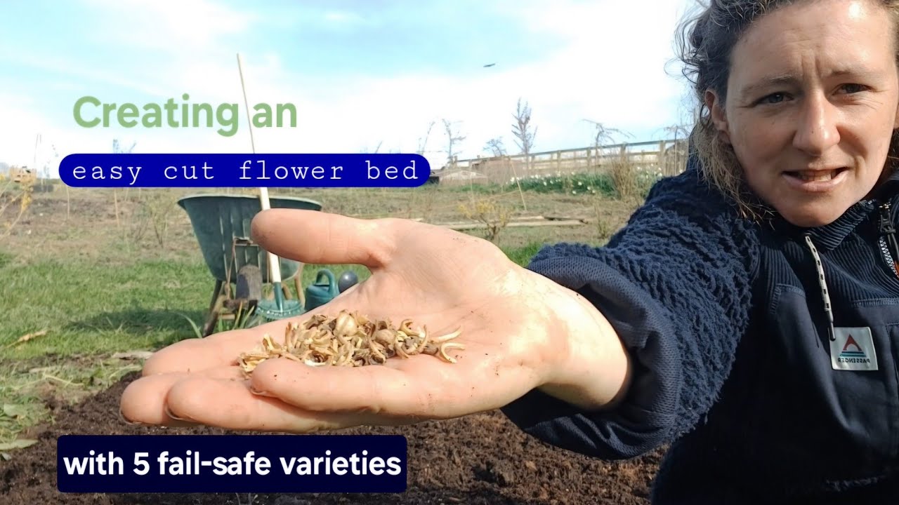 Creating an easy cut flower bed, with 5 fail-safe varieties