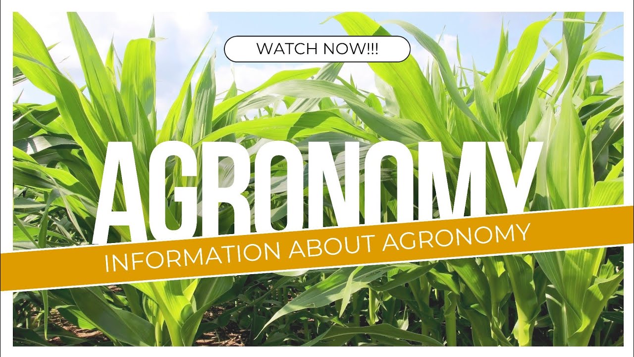 What is Agronomy