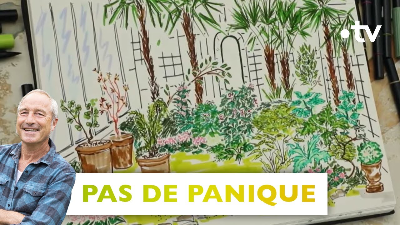 Pas de panique: redonner vie à un jardin de maison au coeur de Paris - Silence,ça pousse! 6 mai 2023