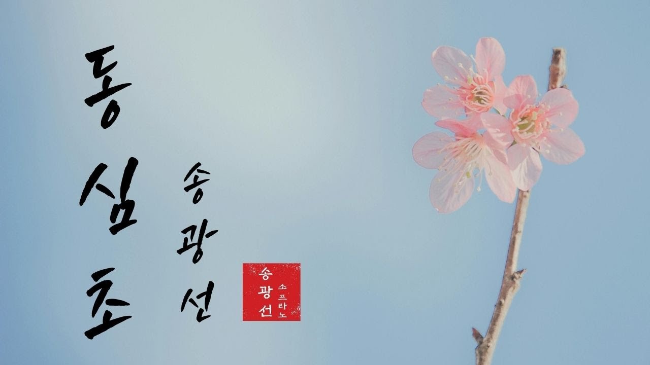 동심초 (소프라노 / 송광선)