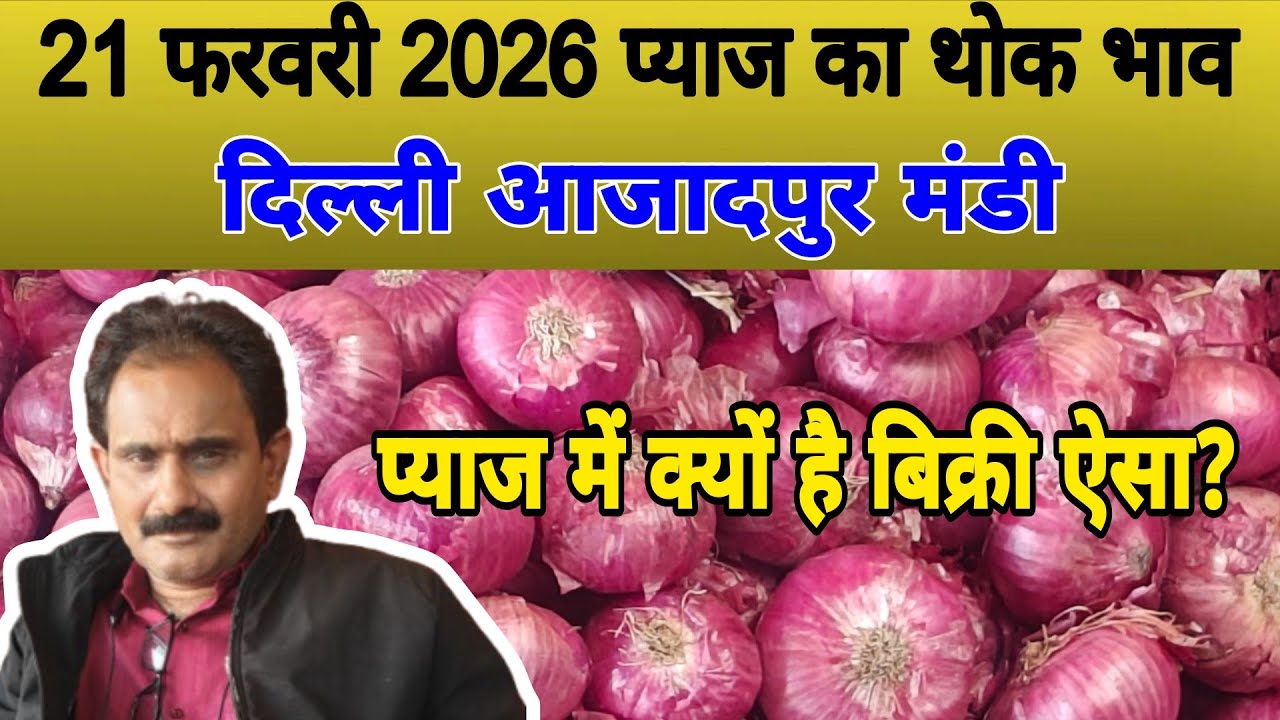 प्याज में क्यों है बिक्री ऐसा | Today onion price | pyaj ka bhav #onionrate #pyaj #onion