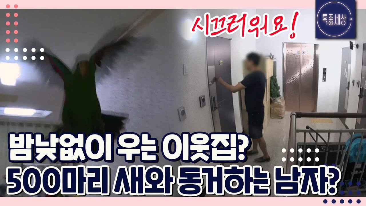 "몰두하다 보니.. 가족들이 떠나더라고요." 가족 잃고 새 500마리와 사는 남자의 사연｜특종세상 337회 FULL영상