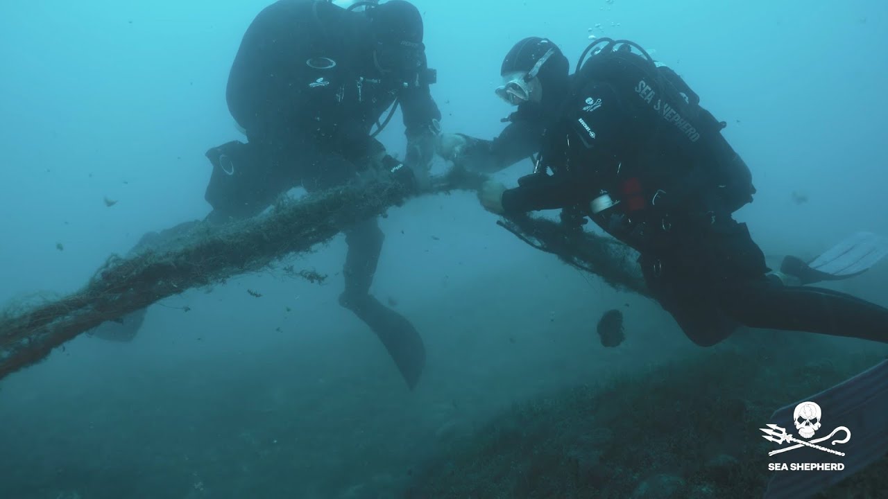 Ghostnet Campaign: 