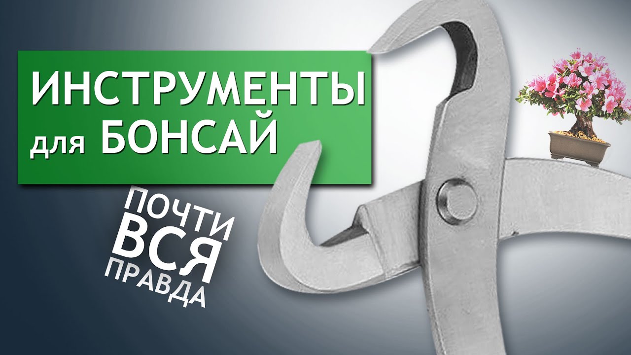 ИНСТРУМЕНТЫ для БОНСАЙ | Overview of several basic Bonsai Tools.