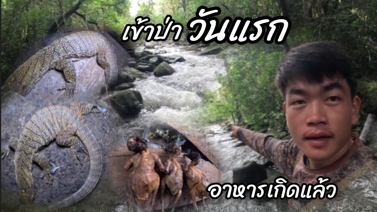 วัวหาย..! บ่าวสินไม่ออกมาดูวัวในป่านานเกินไปวัวเลยหายไปตัวหนึ่ง3 กันยายน ค.ศ. 2025