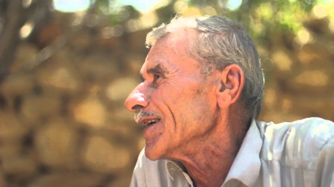 استصلاح الأراضي استثمار مربح