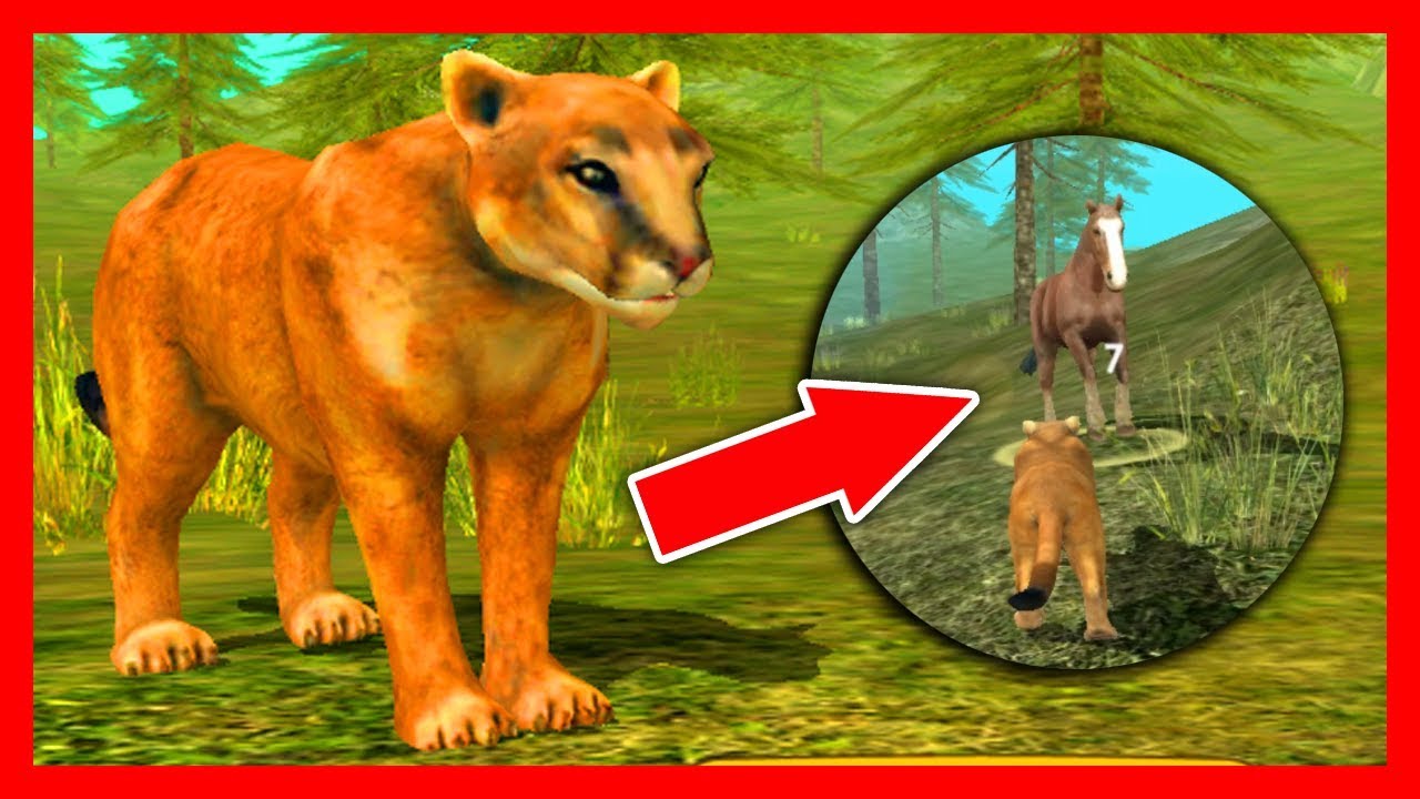 СИМУЛЯТОР ПУМЫ #1 СЕМЬЯ ПУМЫ или ДИКАЯ КОШКА в в Puma Sim