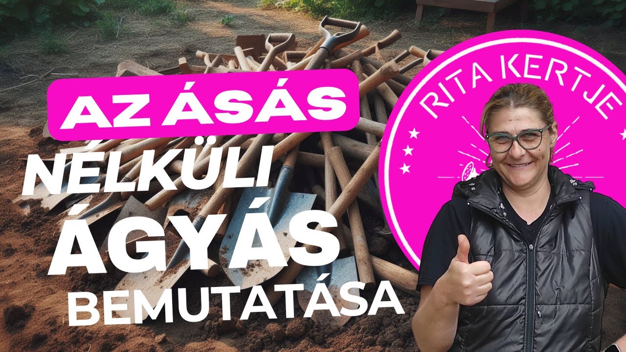 Az &aacute;s&aacute;s n&eacute;lk&uuml;li &aacute;gy&aacute;s bemutat&aacute;sa