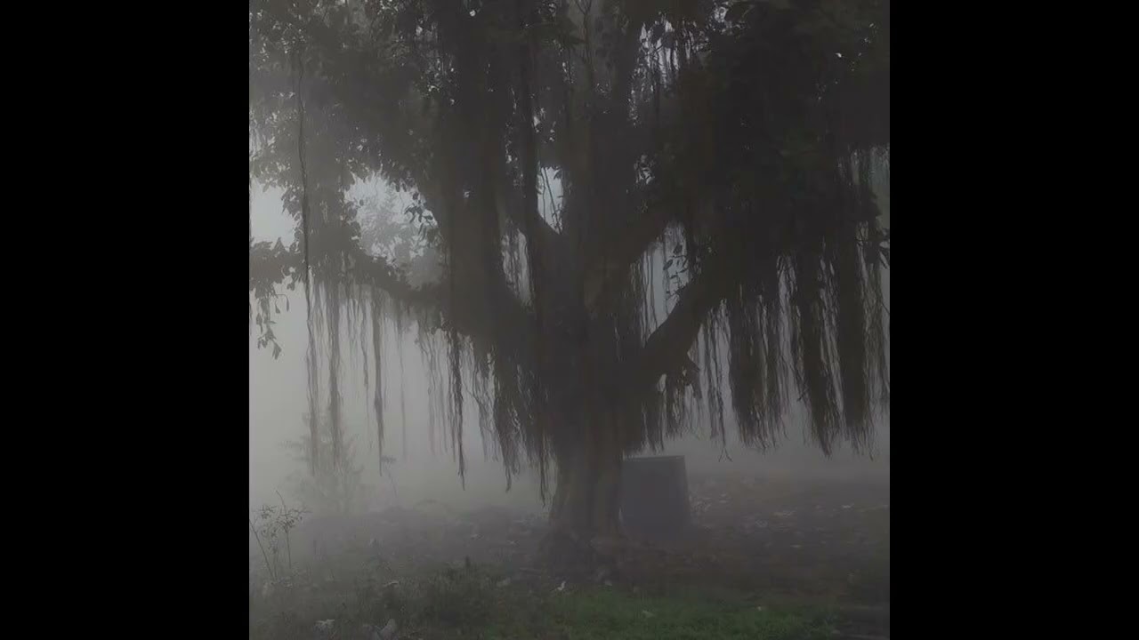 missing scent