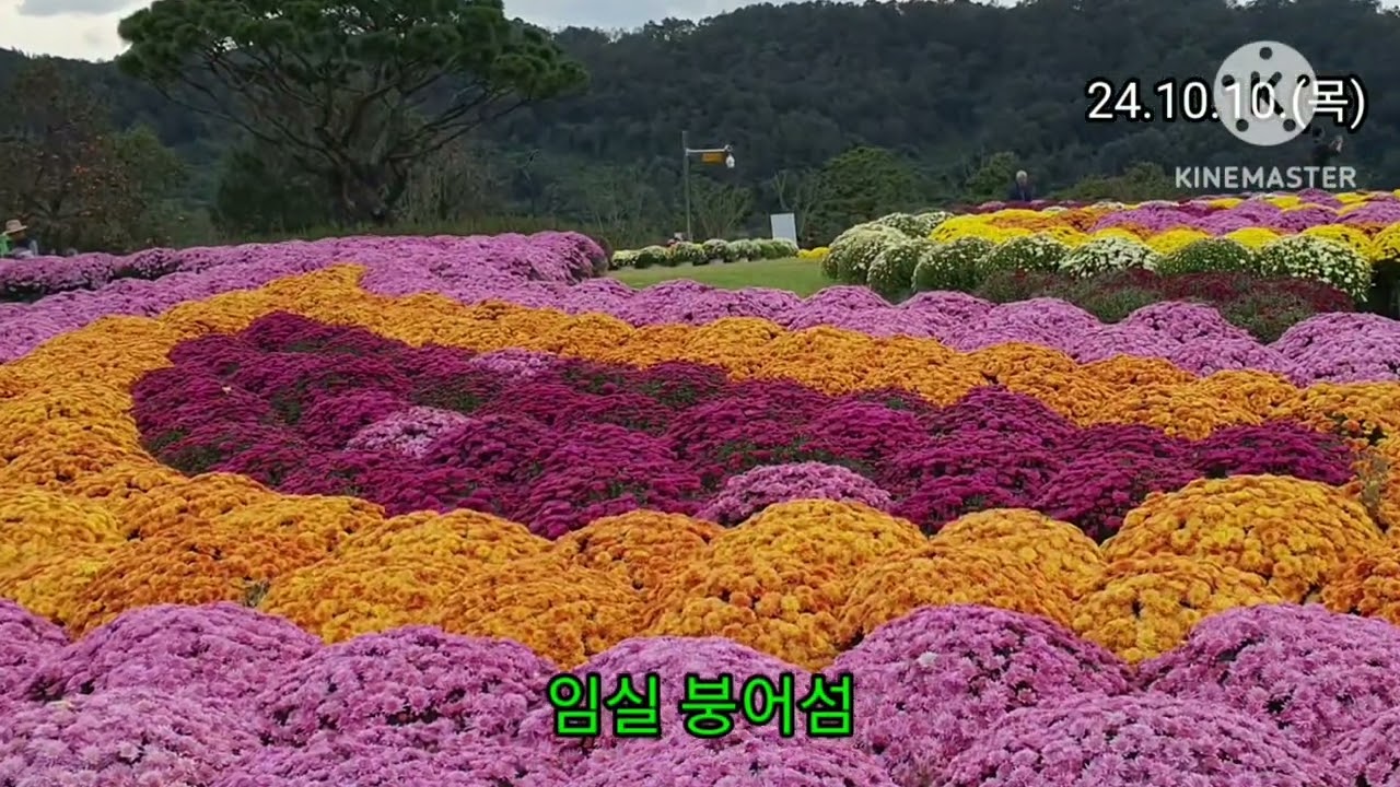 임실 붕어섬