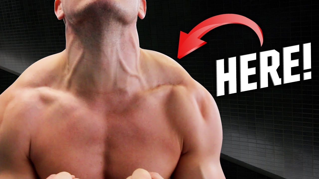 FULL TRAPS ROUTINE! MORE GROWTH IN LESS TIME! PLATEAU BREAKER