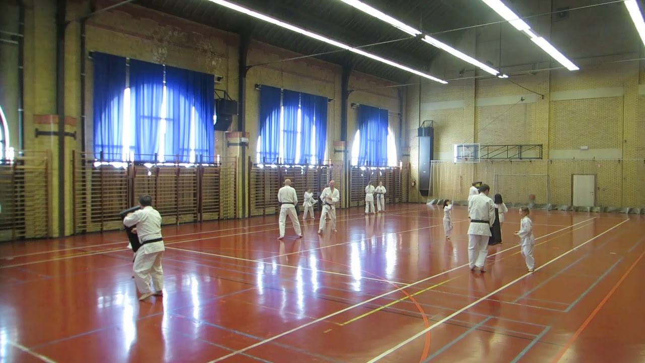 Akiyama karate : 24/03/2019 training met stootkussen