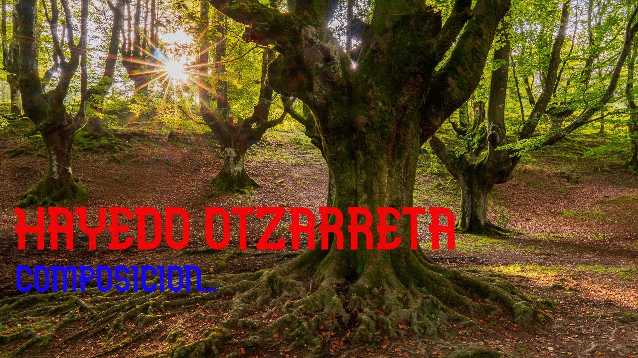 FOTOGRAFIA de ensueño. HAYEDO OTZARRETA. EUSKADI🍂