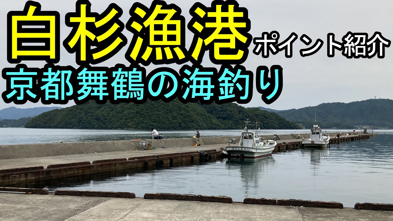 【京都の海釣り】白杉漁港の釣り場を水中映像を付けて紹介。舞鶴有数の魚影が濃いポイントを攻略しよう！