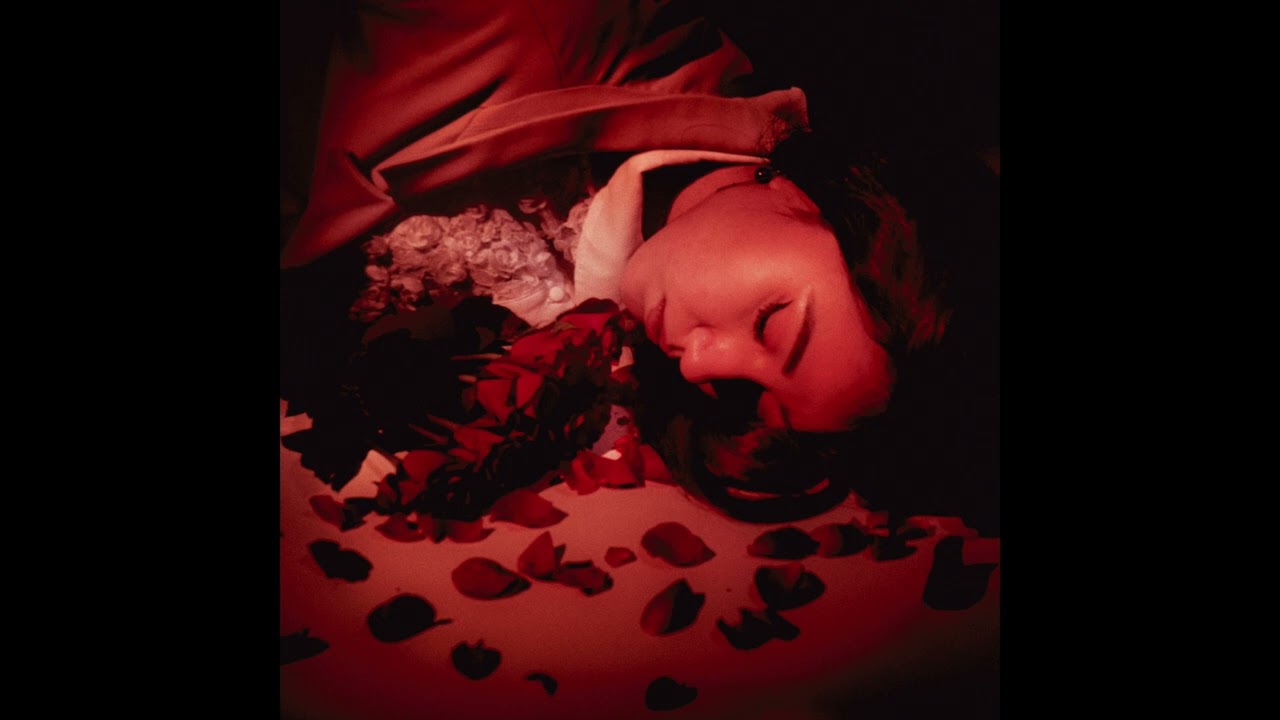 Coming Up Roses - How Did We Fall So Far?