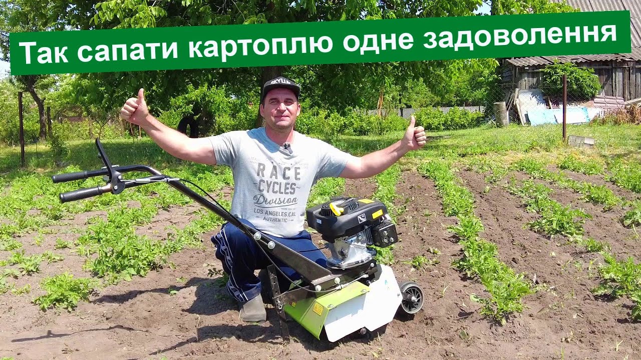 Фрезерую междурядья картофеля. Кентавр МК 30-1/6Т