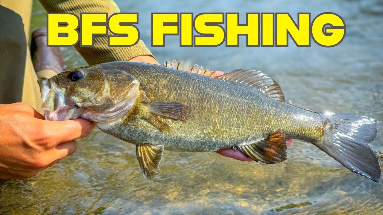 BFS Smallmouth Fishing - Blue River