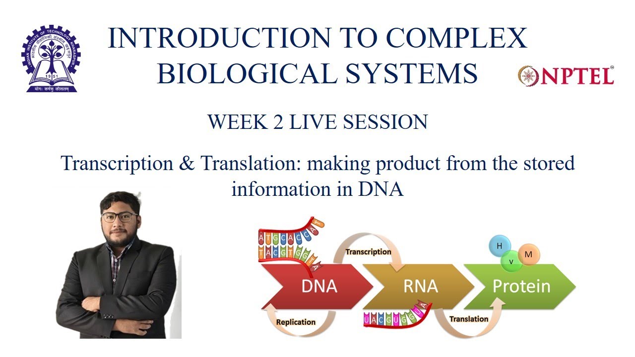 Transcription & Translation: making product from the stored information in DNA