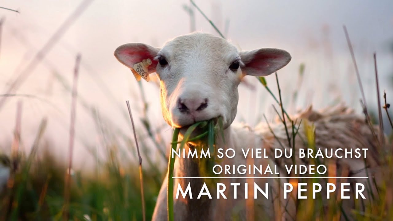 Martin Pepper | Nimm so viel du brauchst | Original Video