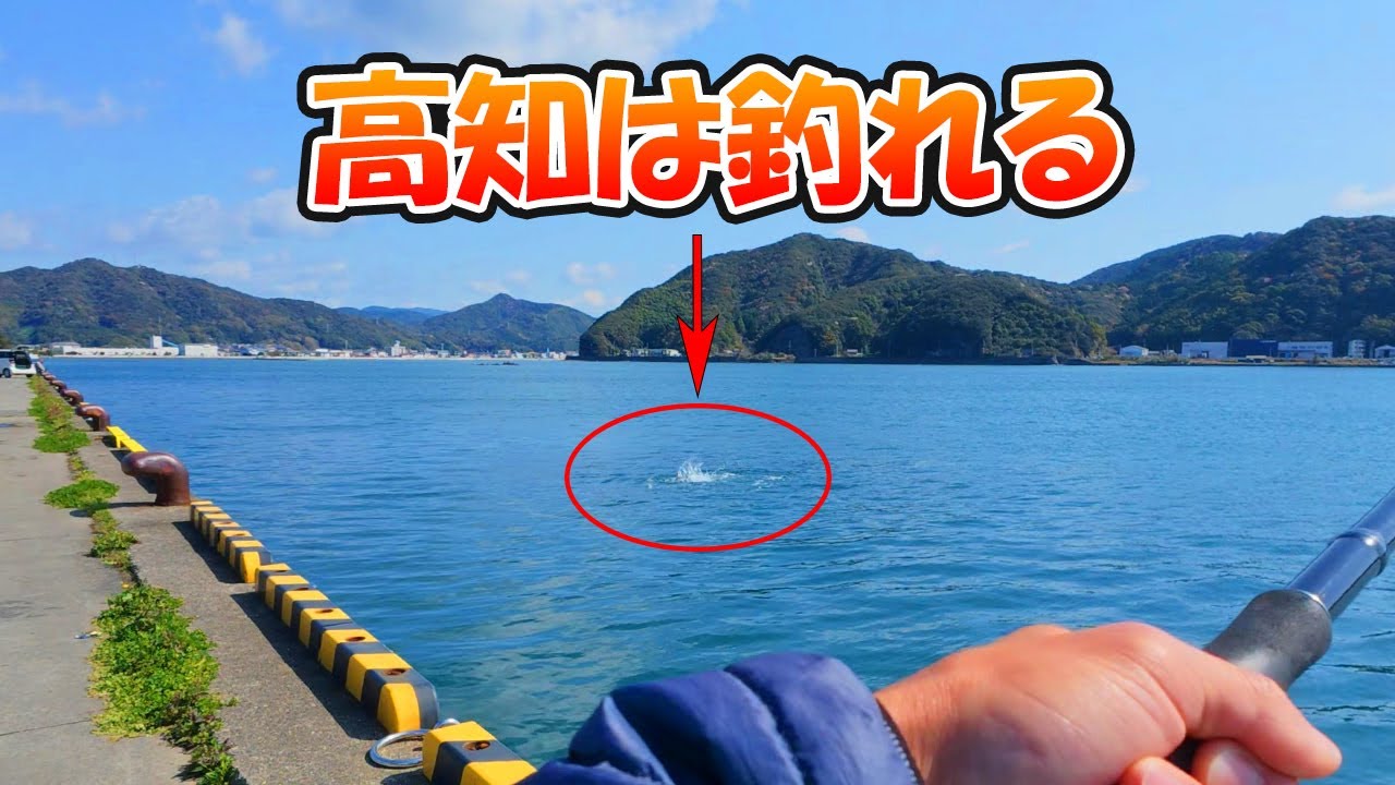 新春に高知の堤防で釣れまくる青物とは？【釣り| 宿毛】2025.04.06