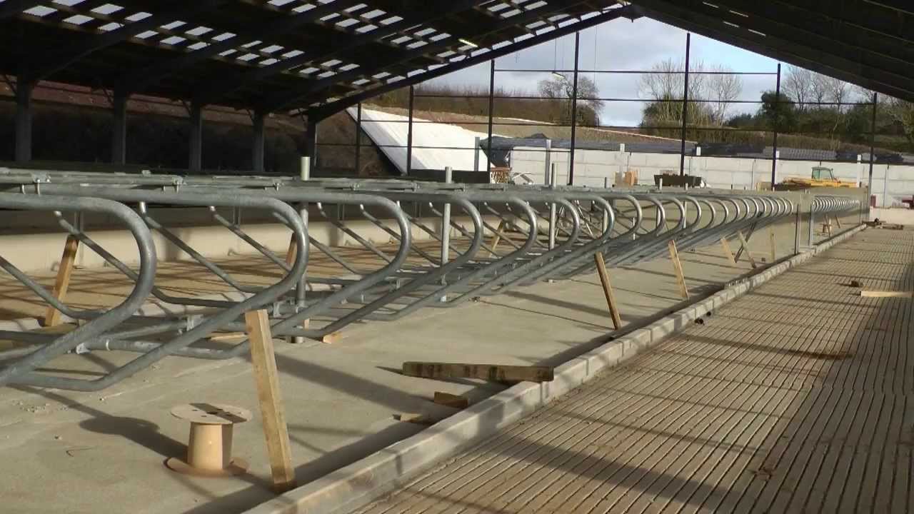 Building a Cow Shed (24)