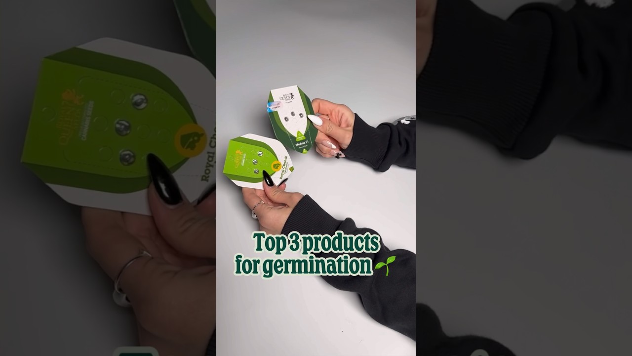 Top 3 Royal Queen Seeds Products for Germination [ASMR]