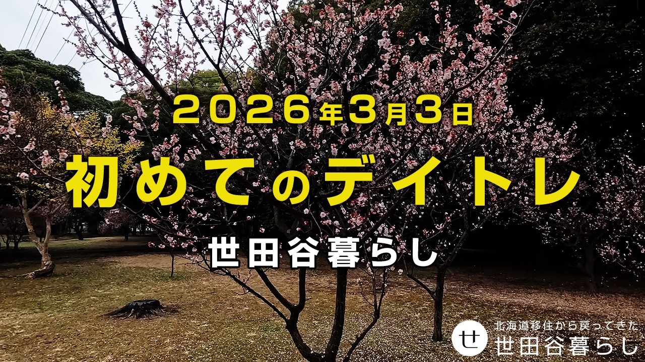 世田谷散歩｜初めてデイトレードをやってみた話。