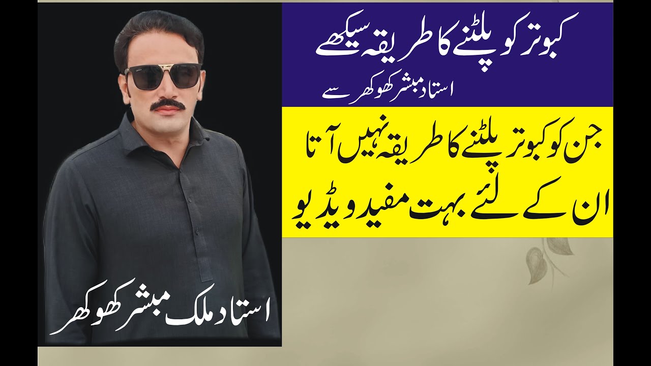 Ustad Malik Mubasher khokhar sab kabotar ko palatny ka tareka btaty howy