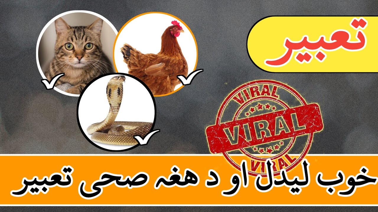 خوب لیدل او د ھغہ صحی تعبیر.