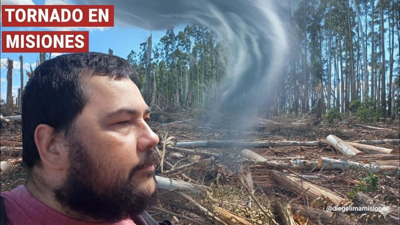 TORNADO DEVASTADOR en Misiones y Brasil 🌪️ | As&iacute; qued&oacute; el cuadro de eucalipto en Campo Grande